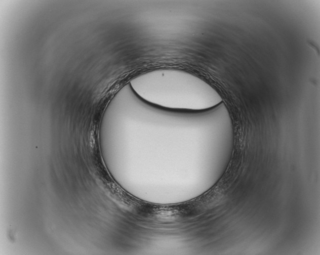 X0000100490746200806130755