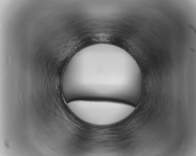 X0000100490747200806130755