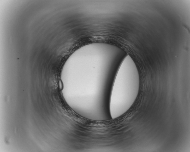 X0000100490751200806130755
