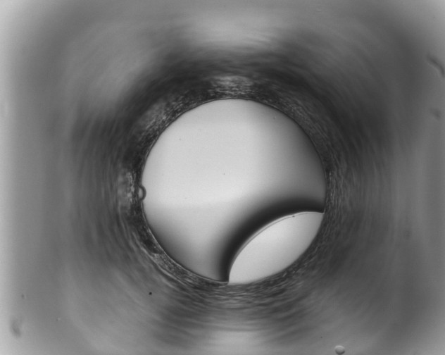 X0000100490752200806130755