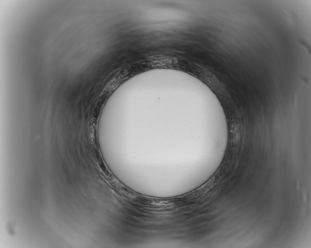 X0000100490753200806130755