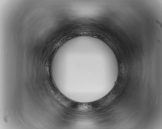 X0000100490754200806130755