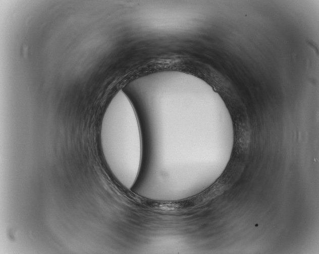 X0000100490758200806130755