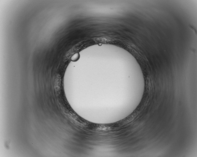 X0000100490760200806130755