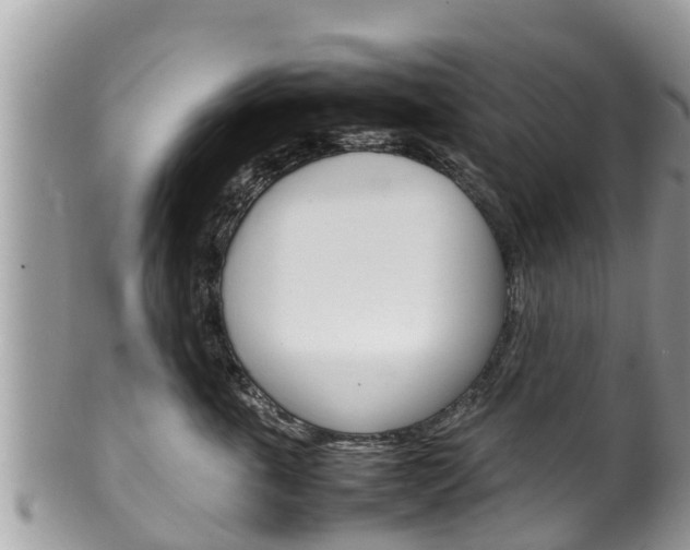 X0000100490763200806130755