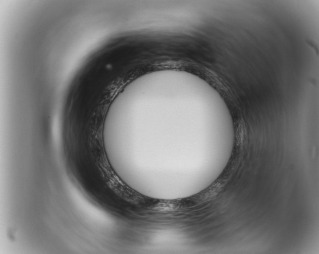 X0000100490764200806130755