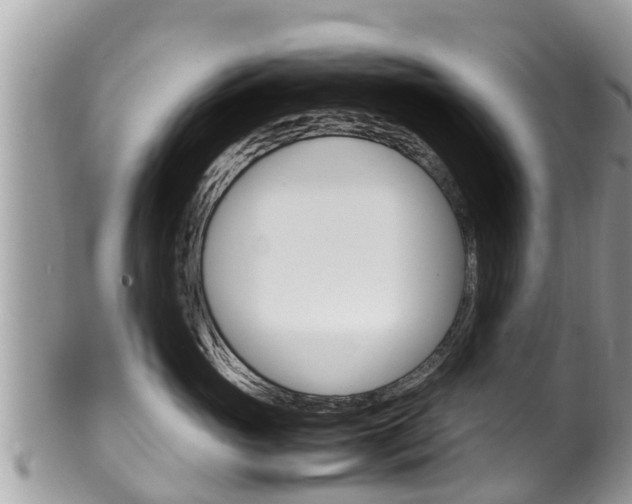 X0000100490765200806130755