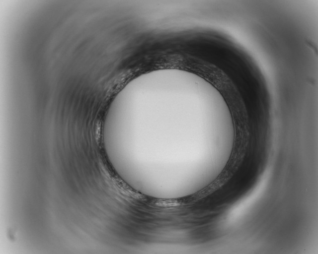 X0000100490767200806130755