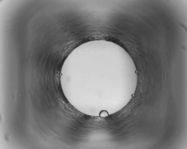 X0000100490768200806130755