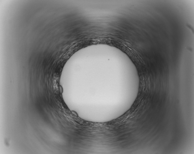 X0000100490770200806130754