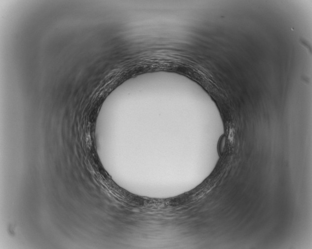 X0000100490771200806130754