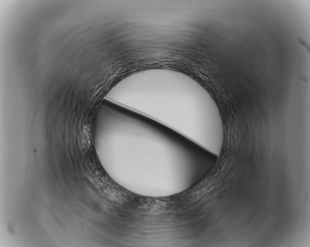 X0000100490772200806130754