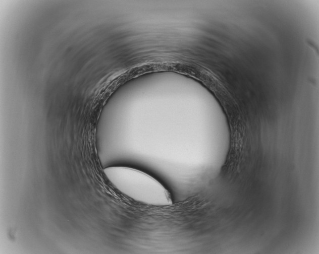 X0000100490773200806130754