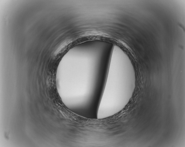 X0000100490775200806130754