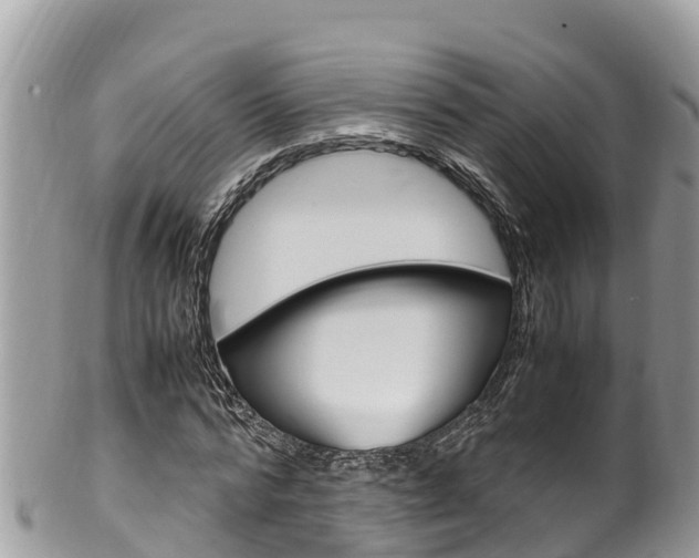 X0000100490776200806130754
