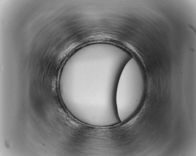 X0000100490778200806130754
