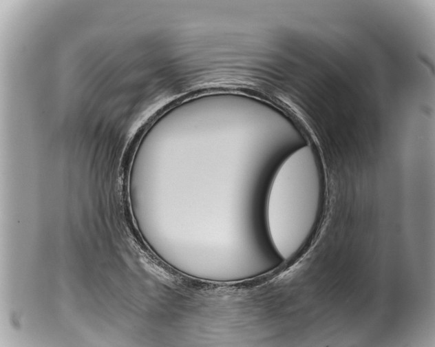 X0000100490779200806130754