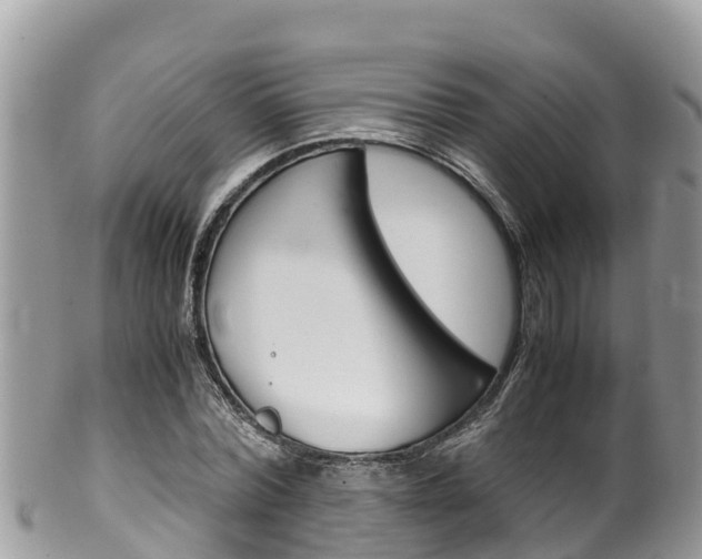 X0000100490780200806130754