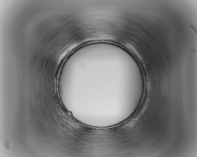 X0000100490781200806130754