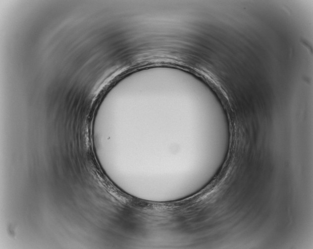 X0000100490782200806130754