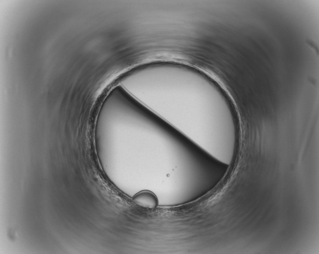 X0000100490783200806130754
