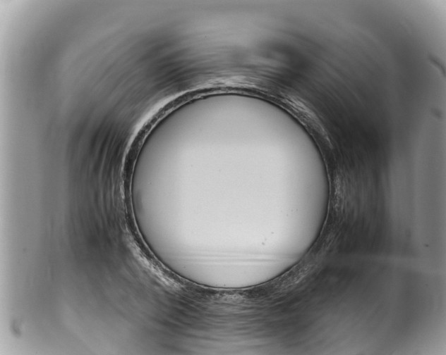 X0000100490784200806130754