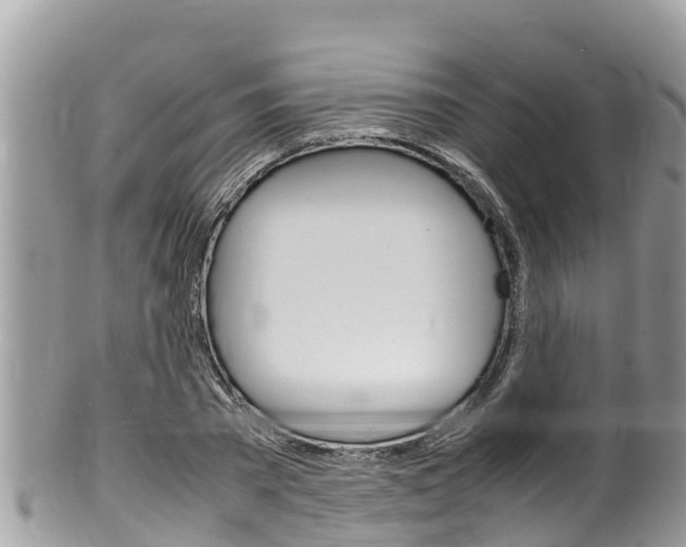 X0000100490785200806130754