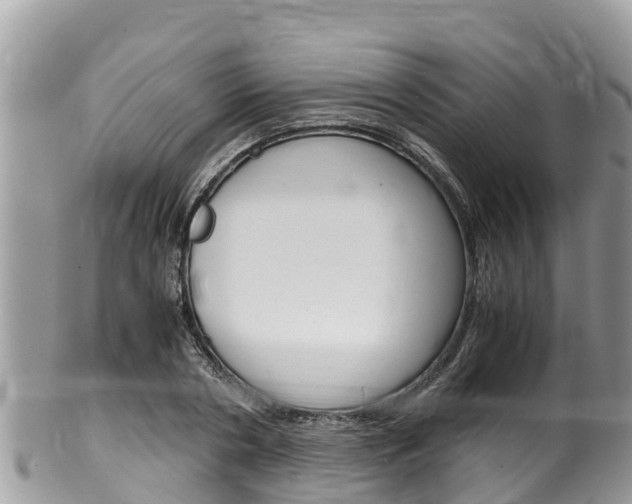 X0000100490786200806130754