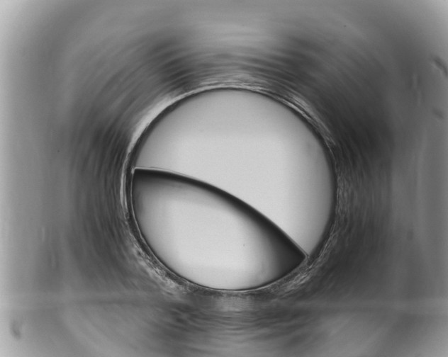 X0000100490788200806130754