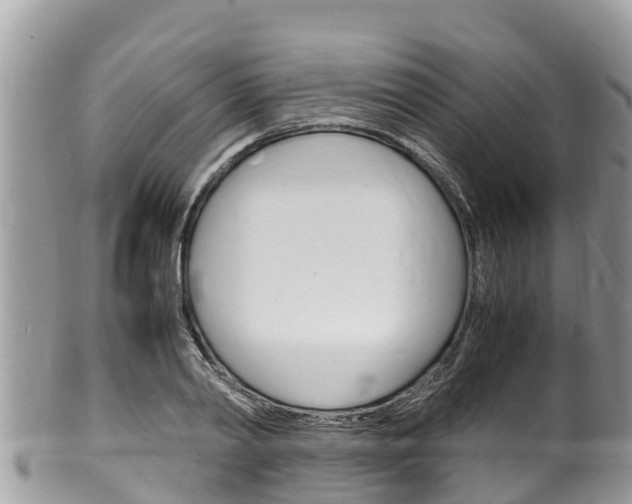 X0000100490790200806130754