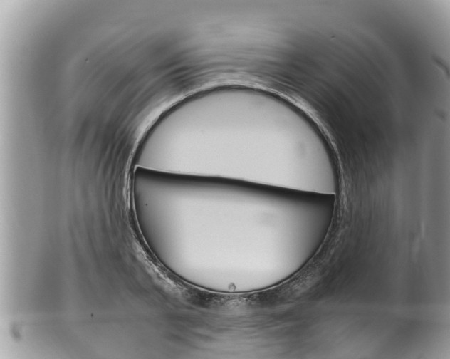 X0000100490791200806130754