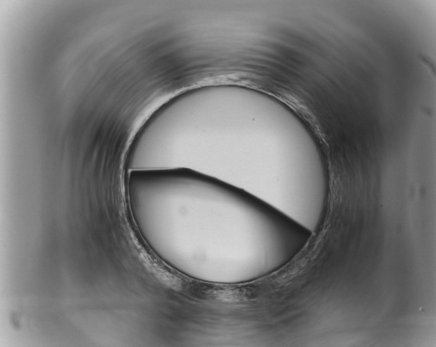 X0000100490792200806130754