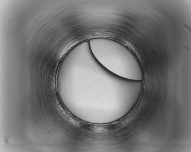 X0000100490794200806130754