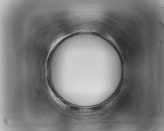 X0000100490795200806130754