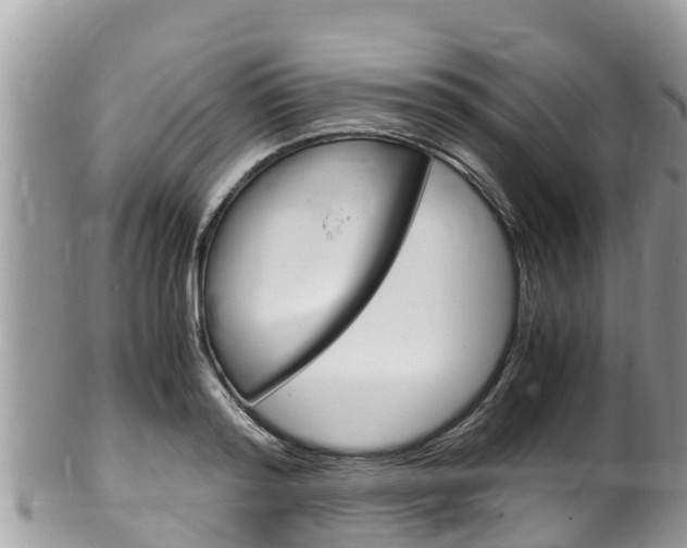 X0000100490796200806130754