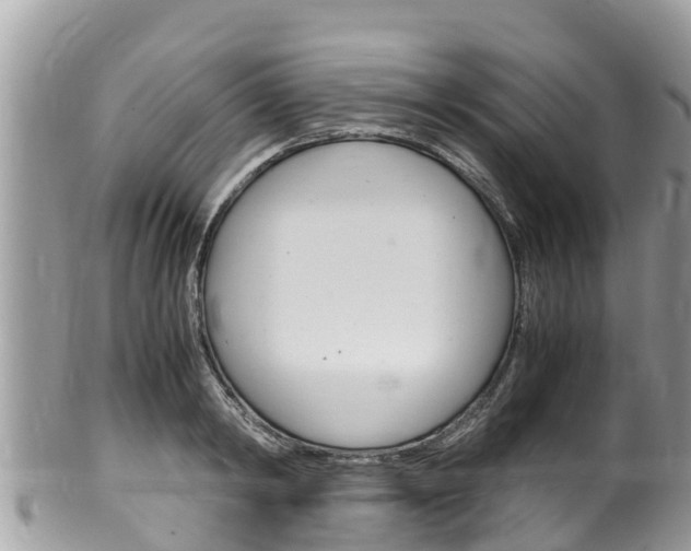 X0000100490798200806130754