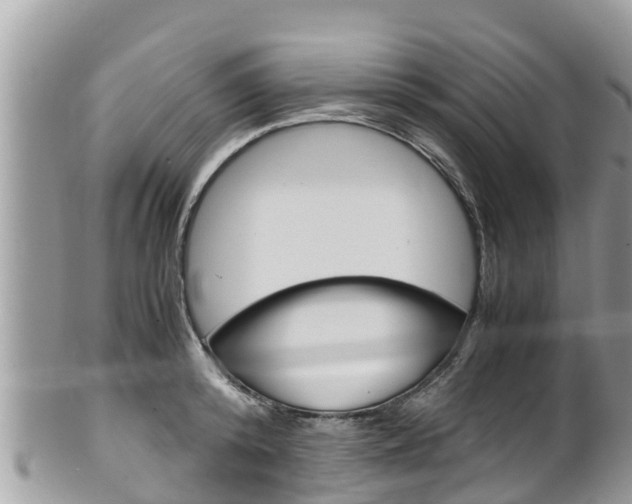 X0000100490800200806130754