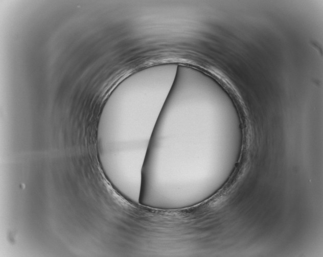 X0000100490801200806130754