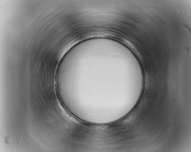 X0000100490802200806130754