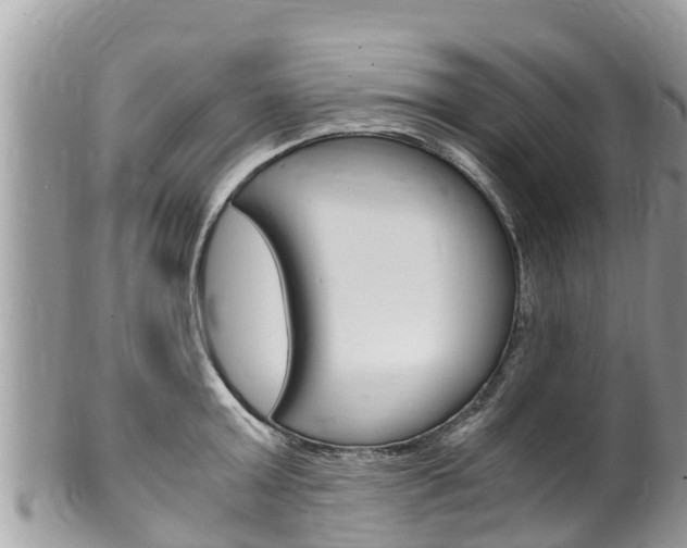 X0000100490803200806130754
