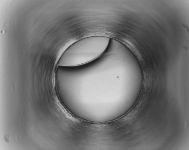 X0000100490804200806130754