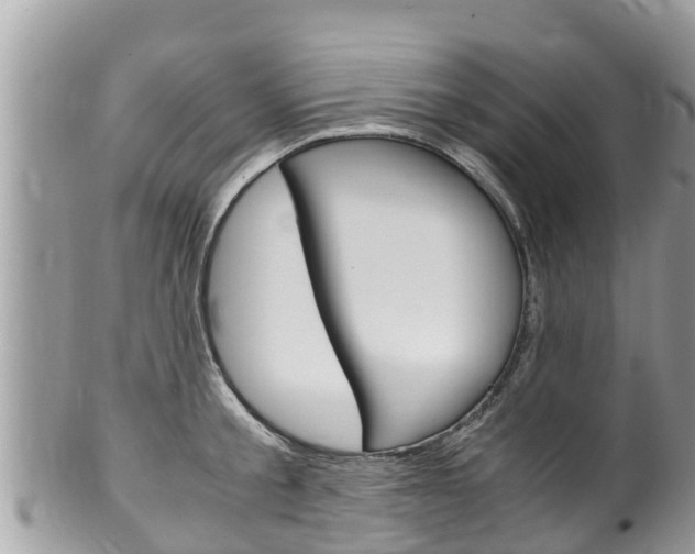 X0000100490805200806130754