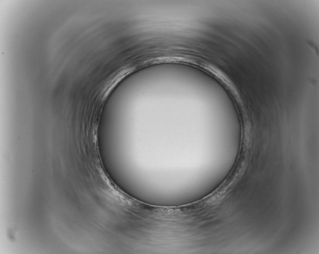 X0000100490809200806130754