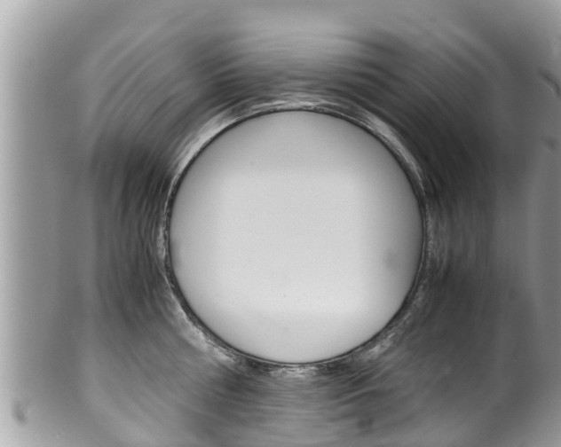 X0000100490810200806130754