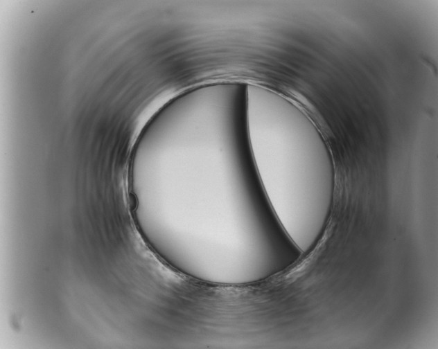 X0000100490812200806130754