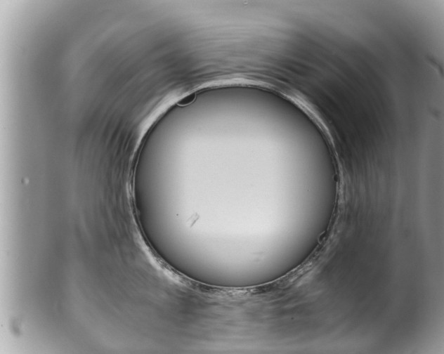 X0000100490813200806130754