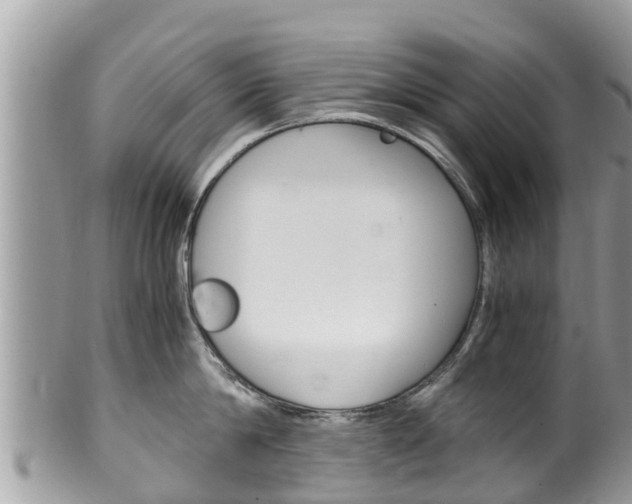 X0000100490814200806130754