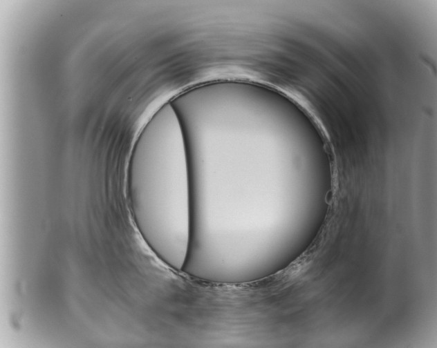 X0000100490815200806130754