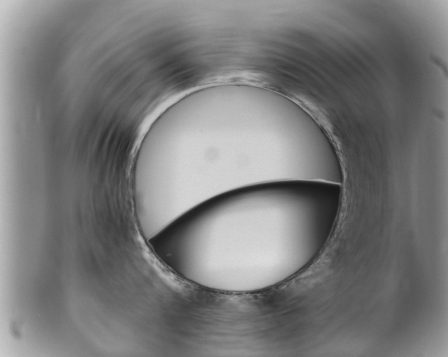X0000100490816200806130754