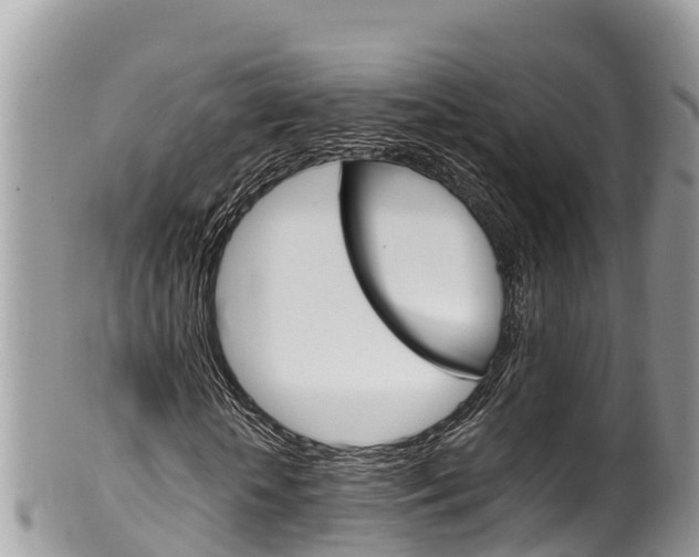 X0000100490818200806130753